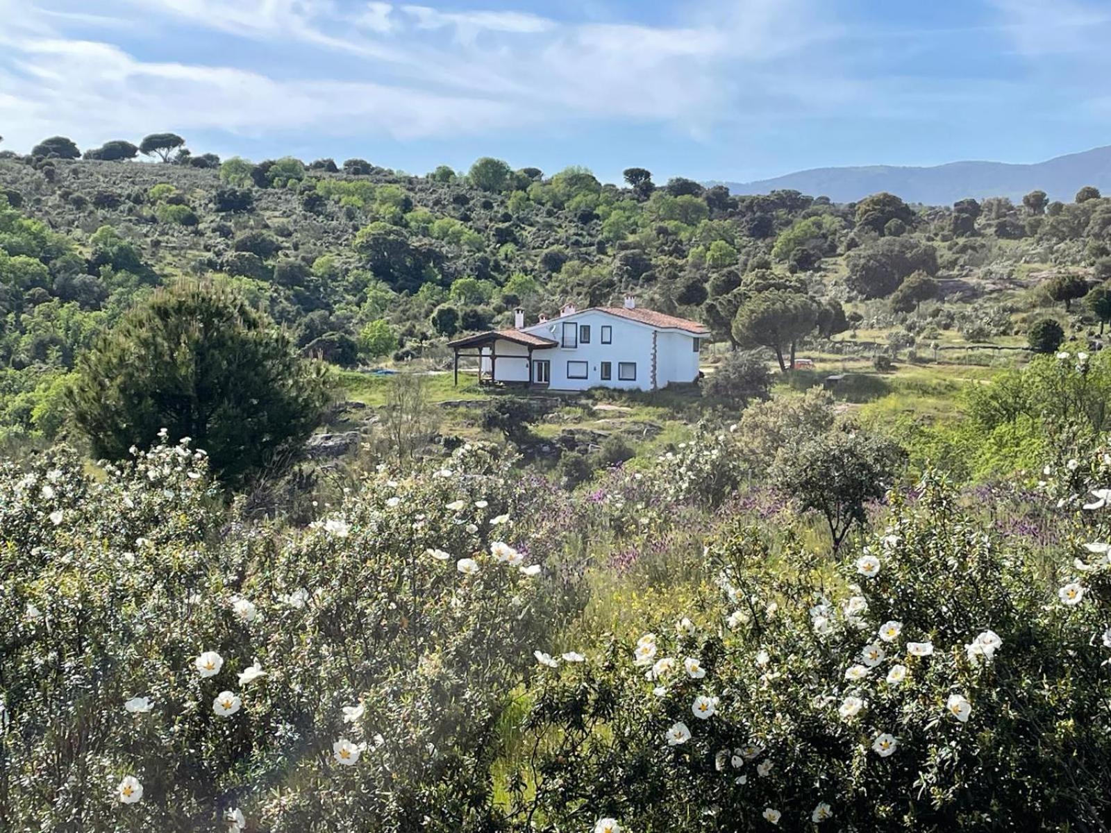 Finca Altair Madrid Exterior photo